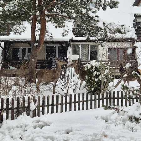 Apartament Wokol Stolu Zakopane Bagian luar foto
